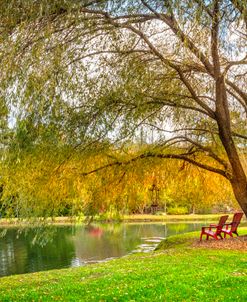 Sharing a Peaceful Moment