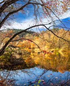 Beautiful Reflections on an Autumn Day