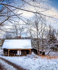 Bringing in the Snowy Winter Cheer