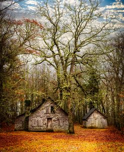 Cabins on Wayah Bald at Wilson Lick