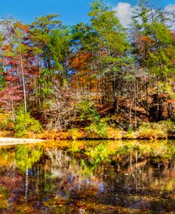 Citico Creek Panorama