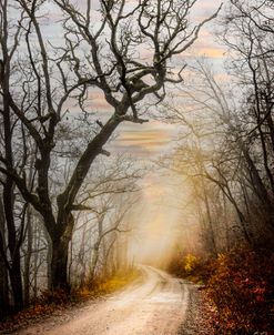 Early Winter Sunrise Light