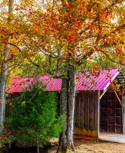 Covered Bridge Under the Autumn Trees