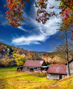 Red Oaks over the Farm Barns