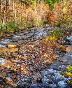 Reflections of Gold in the River