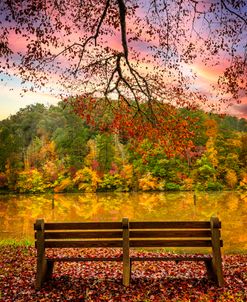 Watching Autumn at the Lake