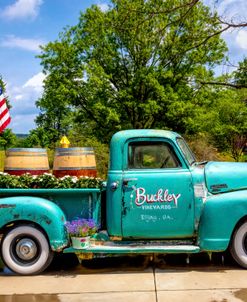 Henry at Buckley Vineyards