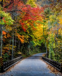 Along the River Road