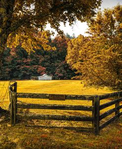 Shadows in the Autumn Morning