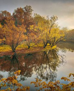 Morning Reflections on the Autumn River