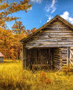 Old Barns at Buckley Autumn Vineyards