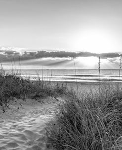 Sunbeams on the Shore Black and White