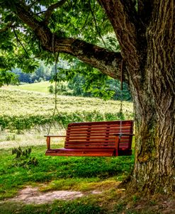 The Red Swing at Cartecay