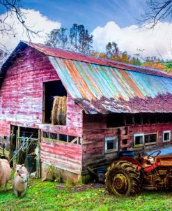 Tractor at the Sheep Farm