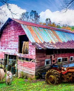 Tractor at the Sheep Farm