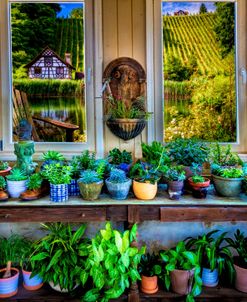 View from the Vineyard Greenhouse