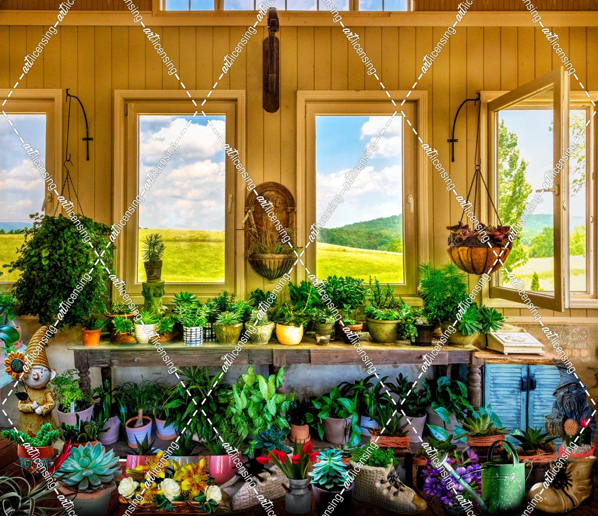 Plants in the Vineyard Greenhouse Window