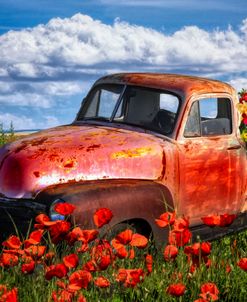 Flower Truck in Poppies