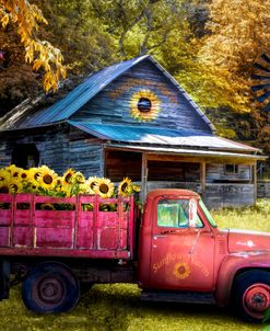 Red Truck at the Sunflower Farm