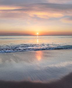 Reflections of Waves in Silver and Gold