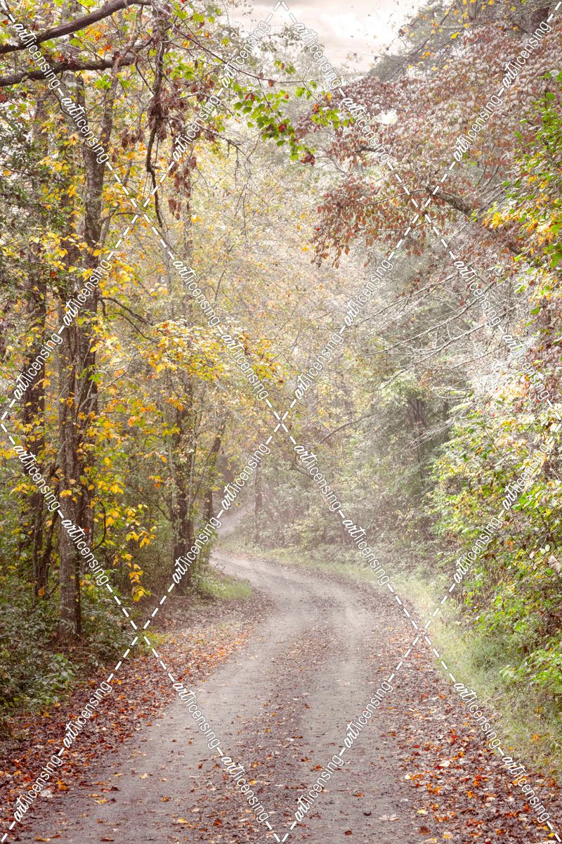 Sunlit Autumn Misty Trails II