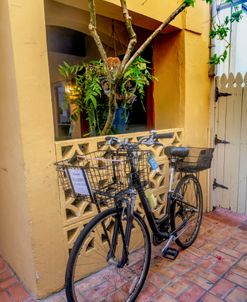 Bicycle in the Courtyard