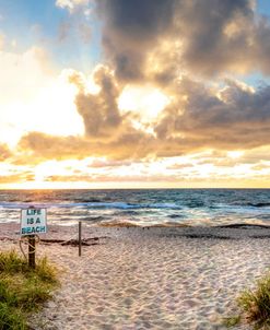 Sunrise over the Sand Dunes Panorama