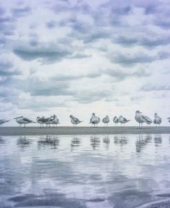 Tidal Pools in Blue