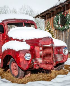 Christmas Rust in the Snow