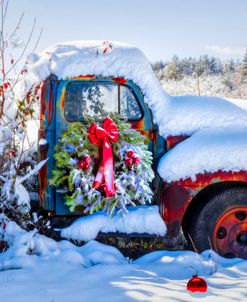 Covered in Snow