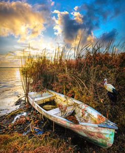 Little White Rowboat in Autumn