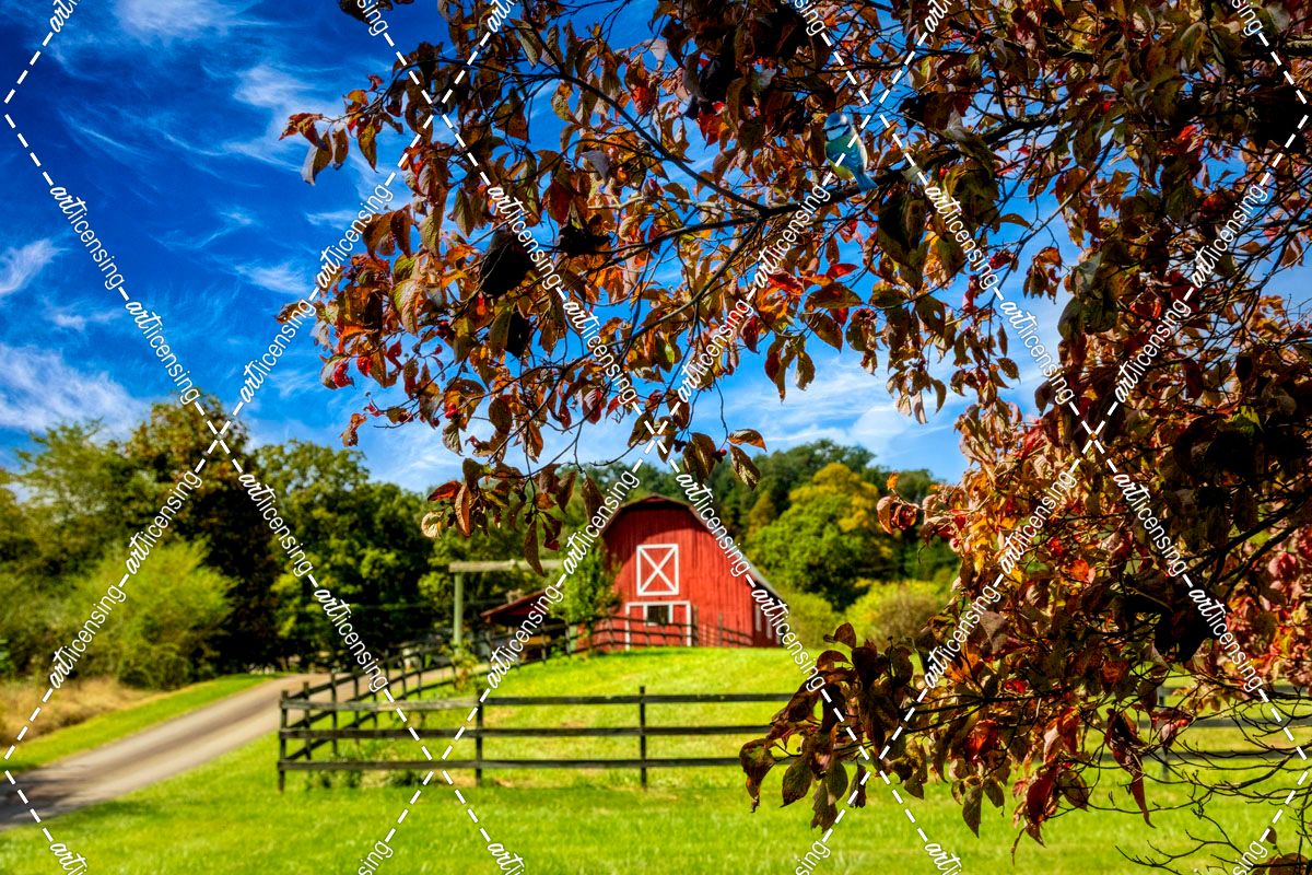 Red Country Barn in the Dogwoods