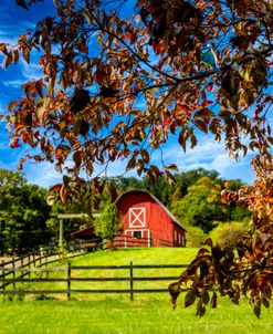 Red Country Barn in the Dogwoods