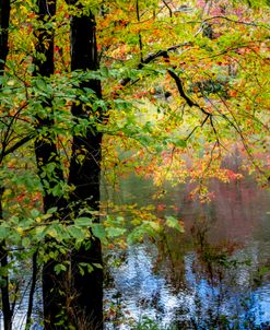 On the Edge of the Autumn River