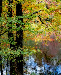 On the Edge of the Autumn River