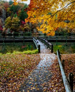 In the Fallen Autumn Leaves