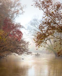 Into the Mist of Autumn