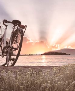 Bicycle at the Shore Cottage