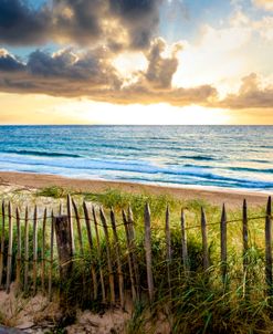 Fences on the Sand Dunes