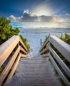 Sandy Steps onto the Beach