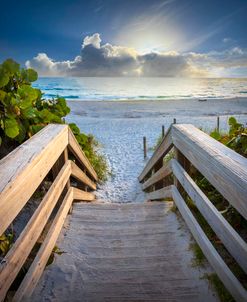 Sandy Steps onto the Beach