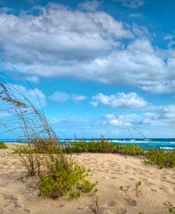 Waving in the Dune Wind