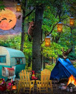 Springtime Camping