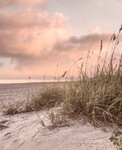 Sunrise Light over the Cottage Dunes