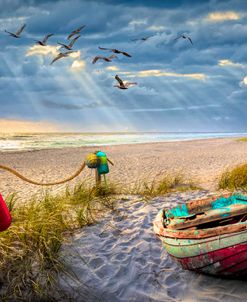 Beach Dune Dreams