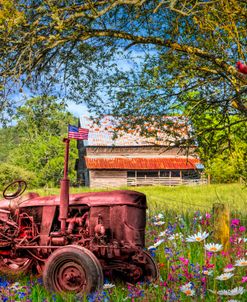 Old Tractor in the Wildflowers