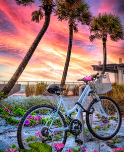 Beach Bike in the Morning Glories