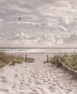 Sandals on the Beachhouse Trail