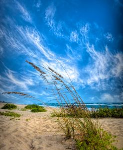 Waving in the Dune Wind II