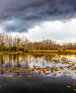Marsh Under Autumn Thunderclouds